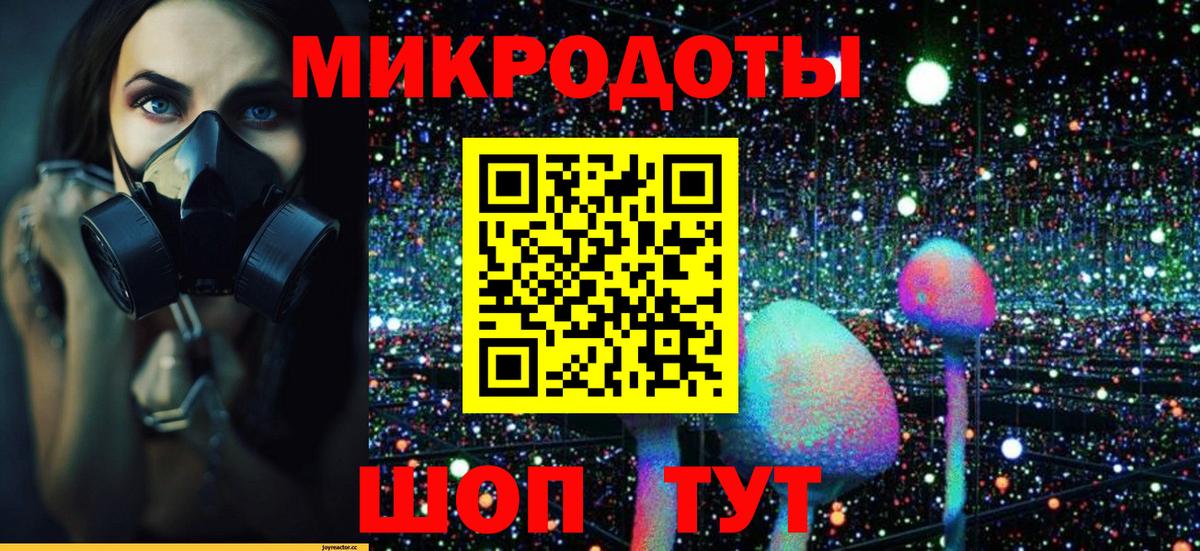 Галлюциногенные грибы Psilocybe  Галлюциногенные грибы мицелий  Амурск  Вход с VPN 
