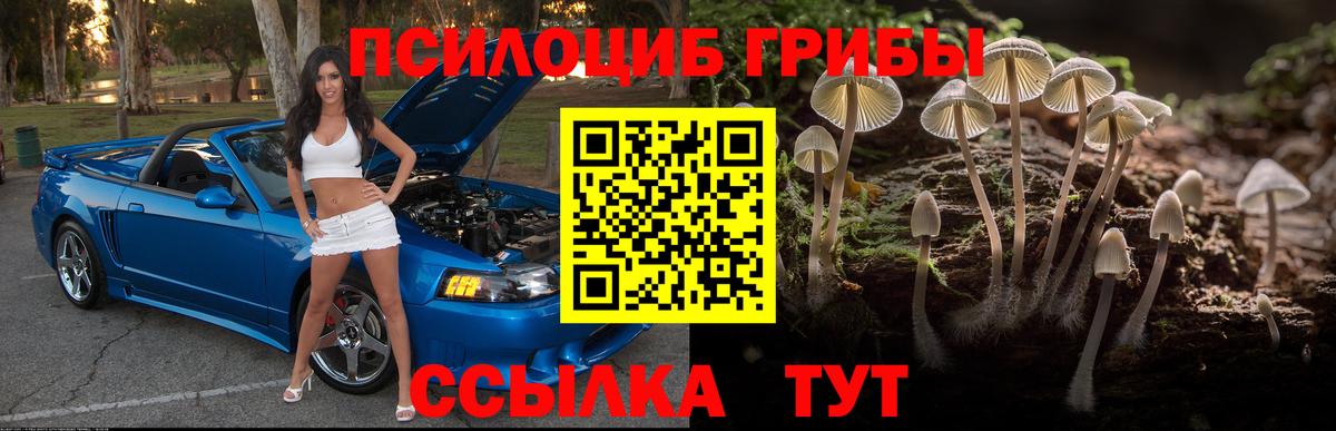 Псилоцибиновые грибы Magic Shrooms Амурск